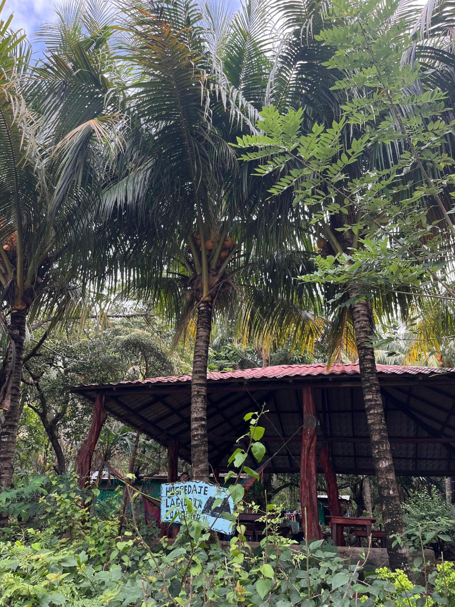 Hostel La Gloria Ometepe Εξωτερικό φωτογραφία