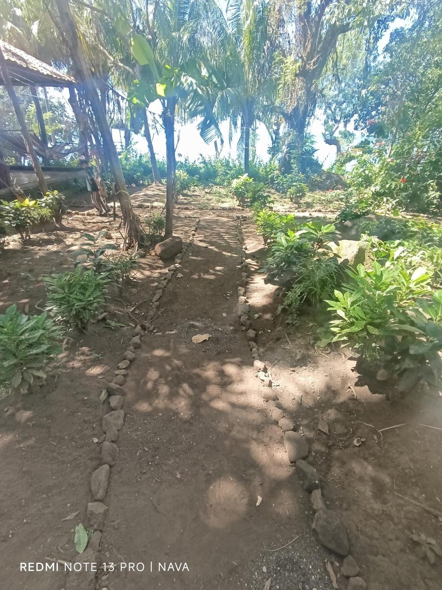 Hostel La Gloria Ometepe Εξωτερικό φωτογραφία